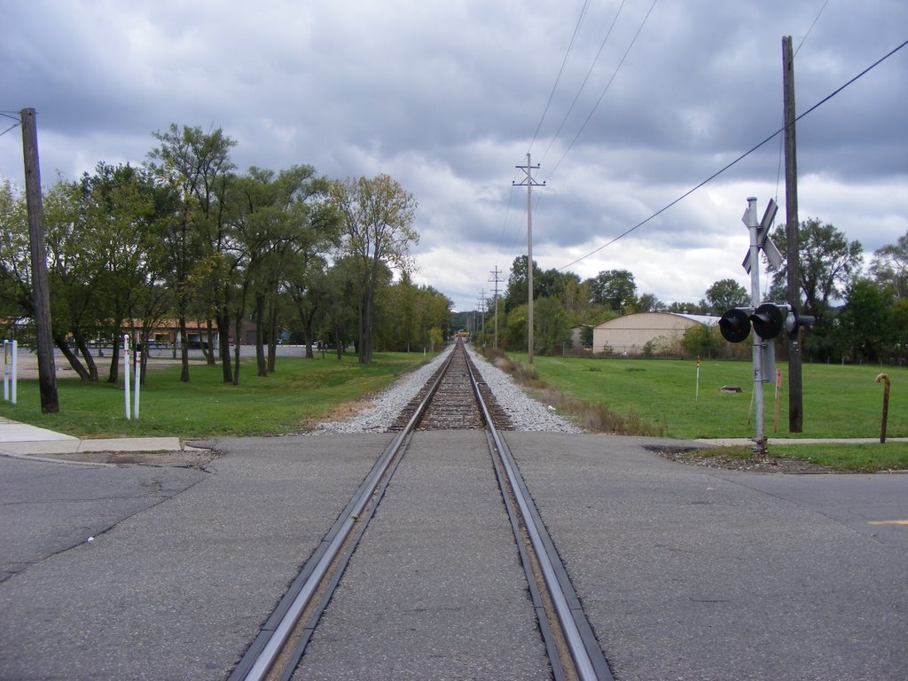 LS&MS / Norfolk Southern looking South at Lake Street, Kalamazoo, MI