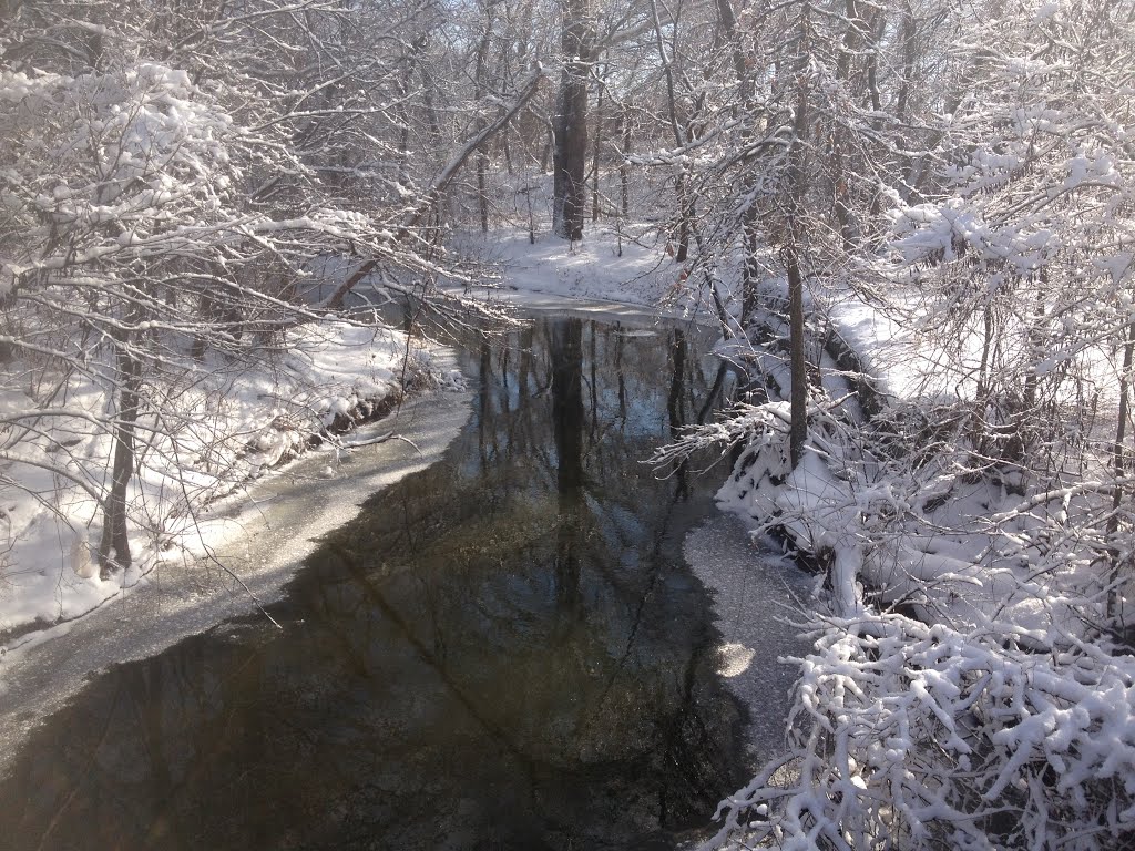 Plaster Creek