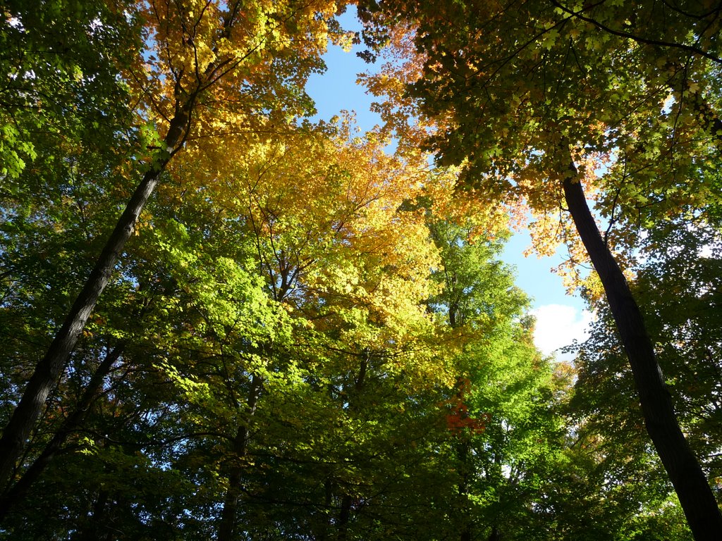 The splendor of Fall in Michigan