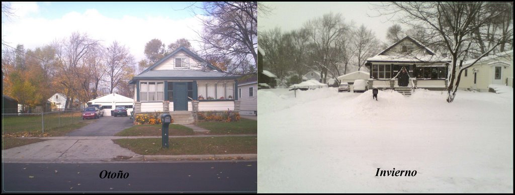 227 Walter st.