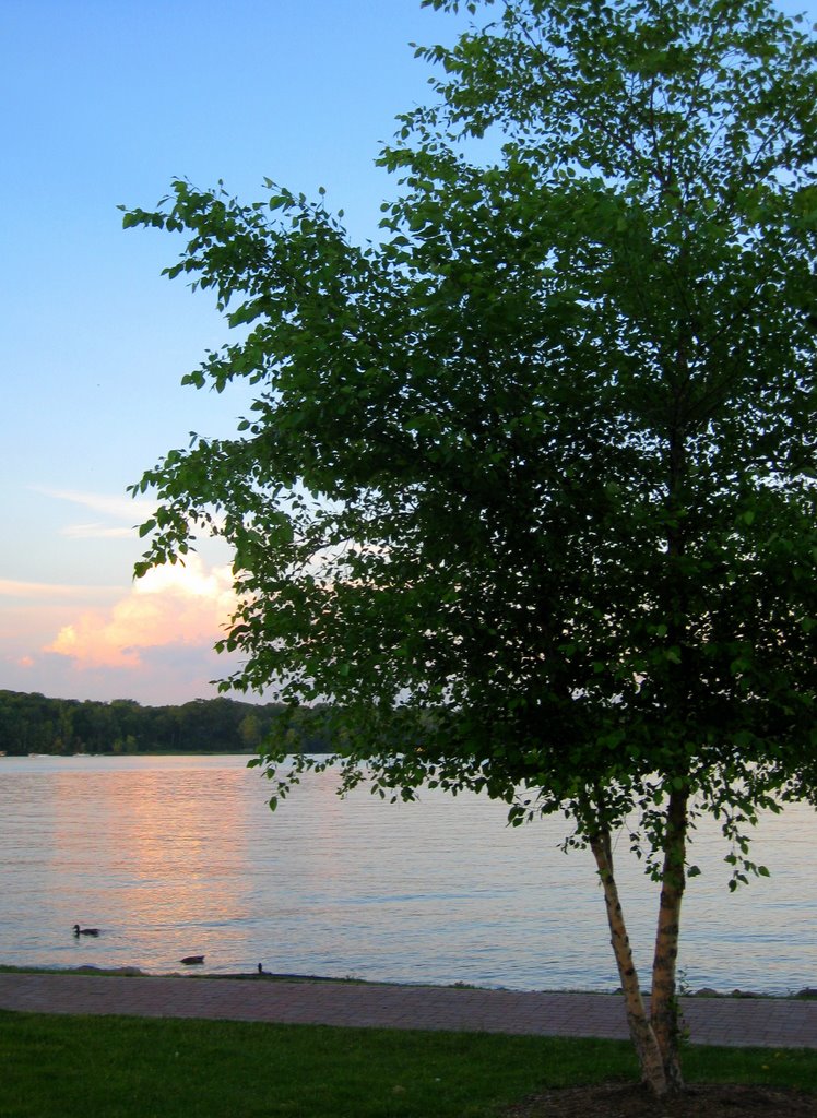 Reeds Lake