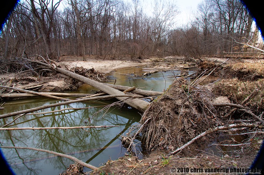 Downed tree, Ken-O-Sha park