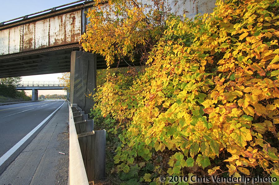 Railroad bridge in fall