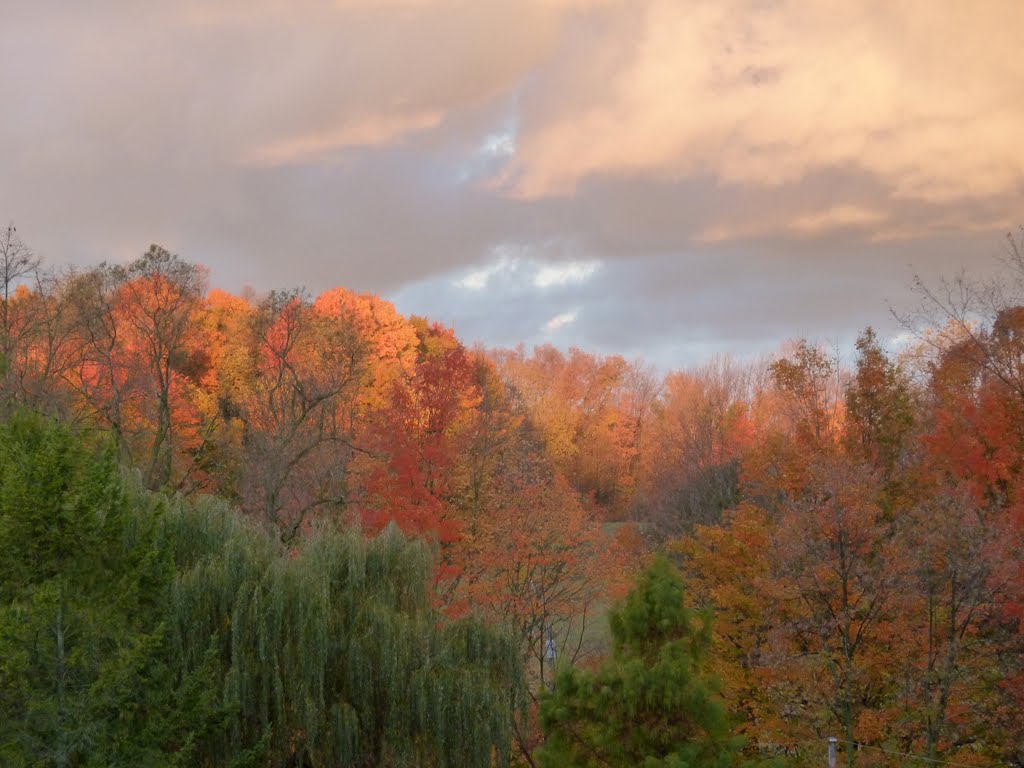 Dreams of Autumn