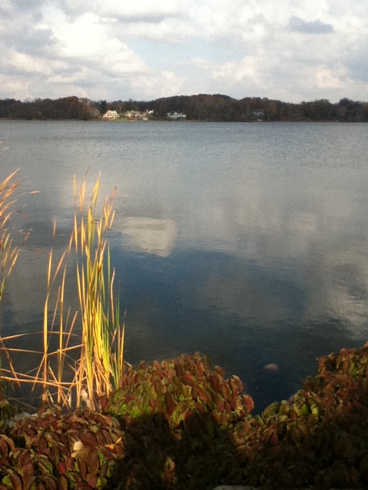 Reeds Lake In The Fall