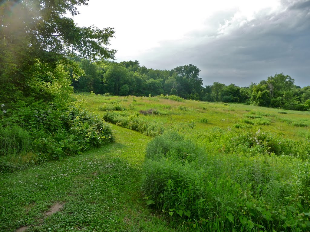 Prairie Wolf Park