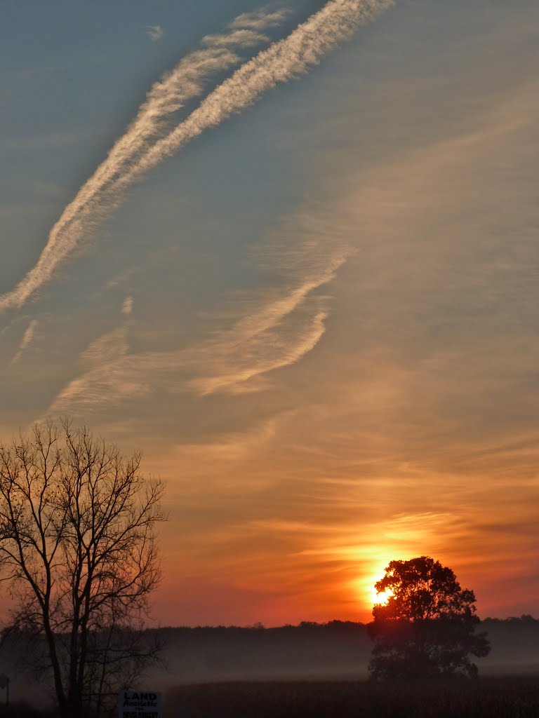 Morning has broken
