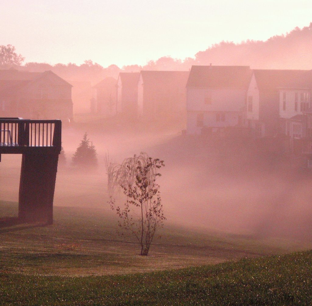 Misty morning, Caledonia MI