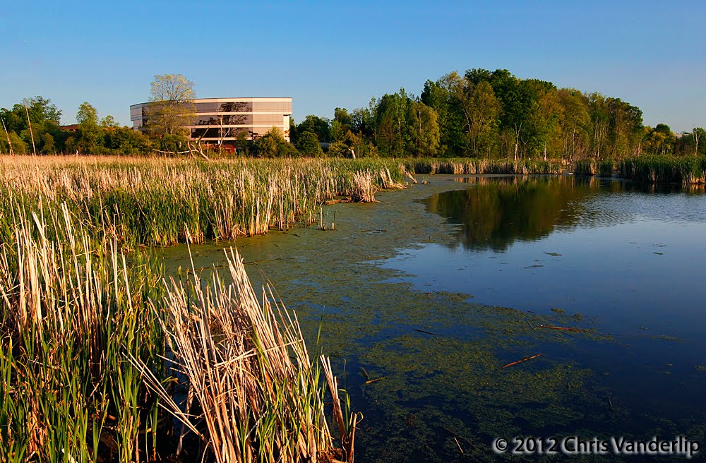 LMCU and Marsh