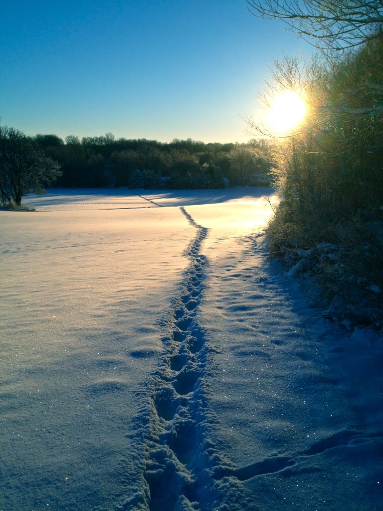 Winter morning walk