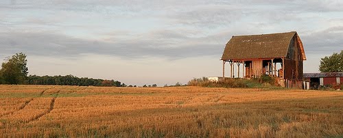 Farm Field