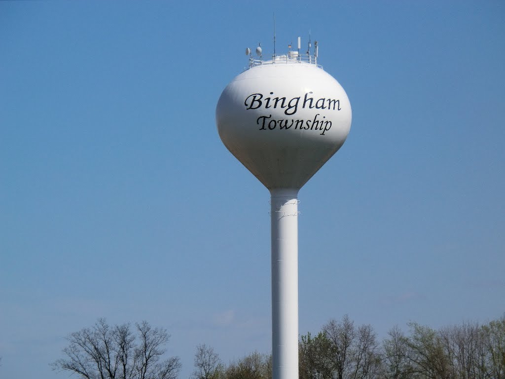 Bingham Township Water Tower