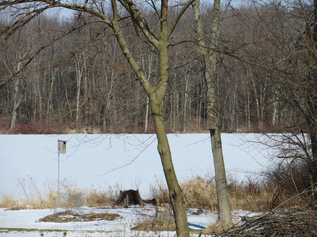 Alward Lake
