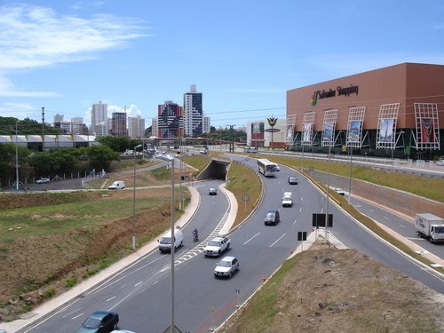bela foto