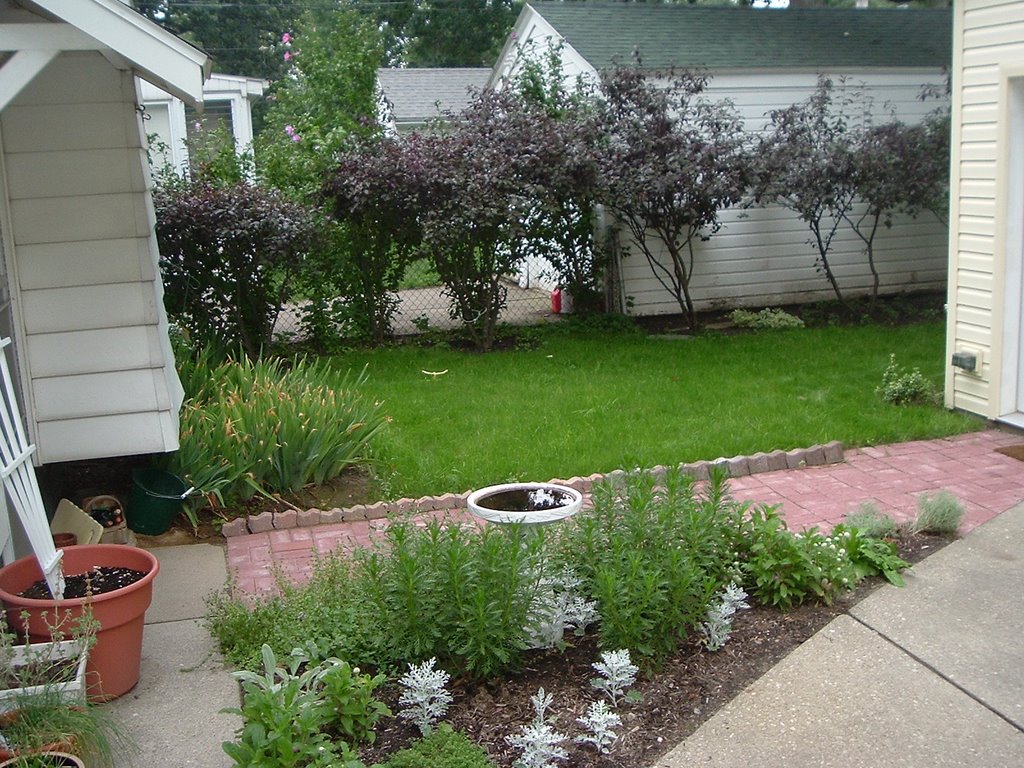 My Backyard