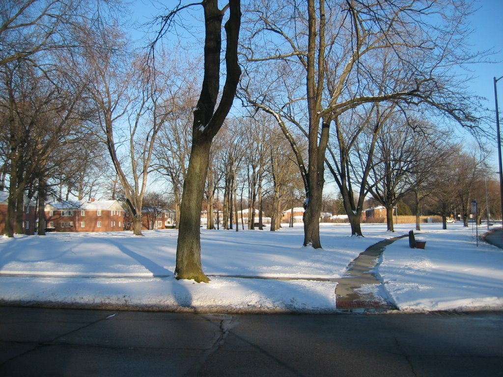 Snow