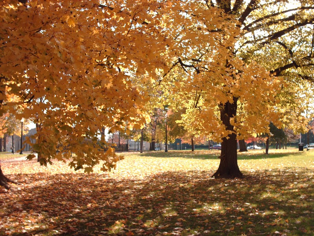 Durant Park