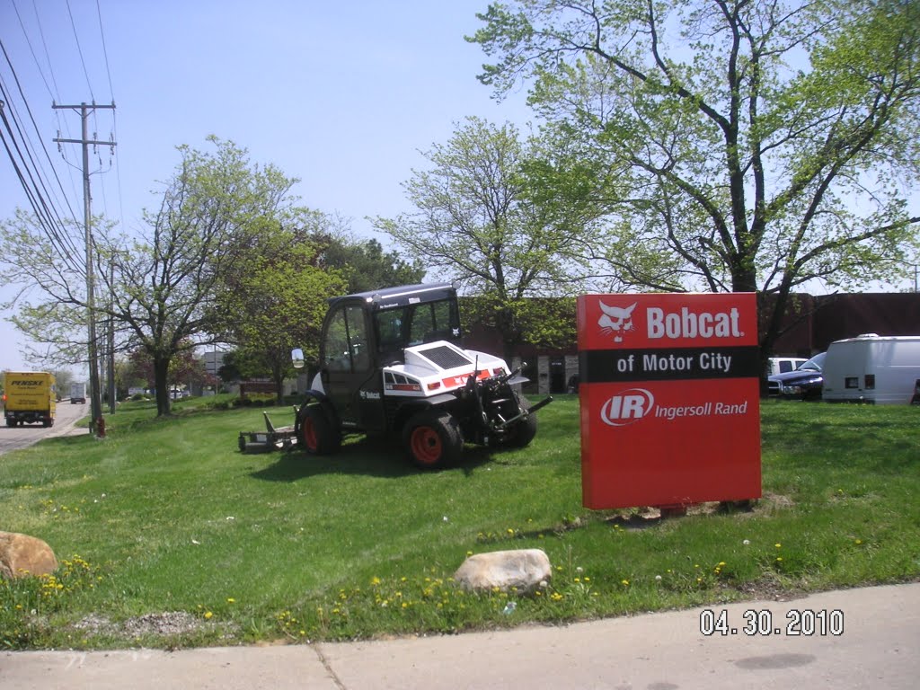 Bobcat