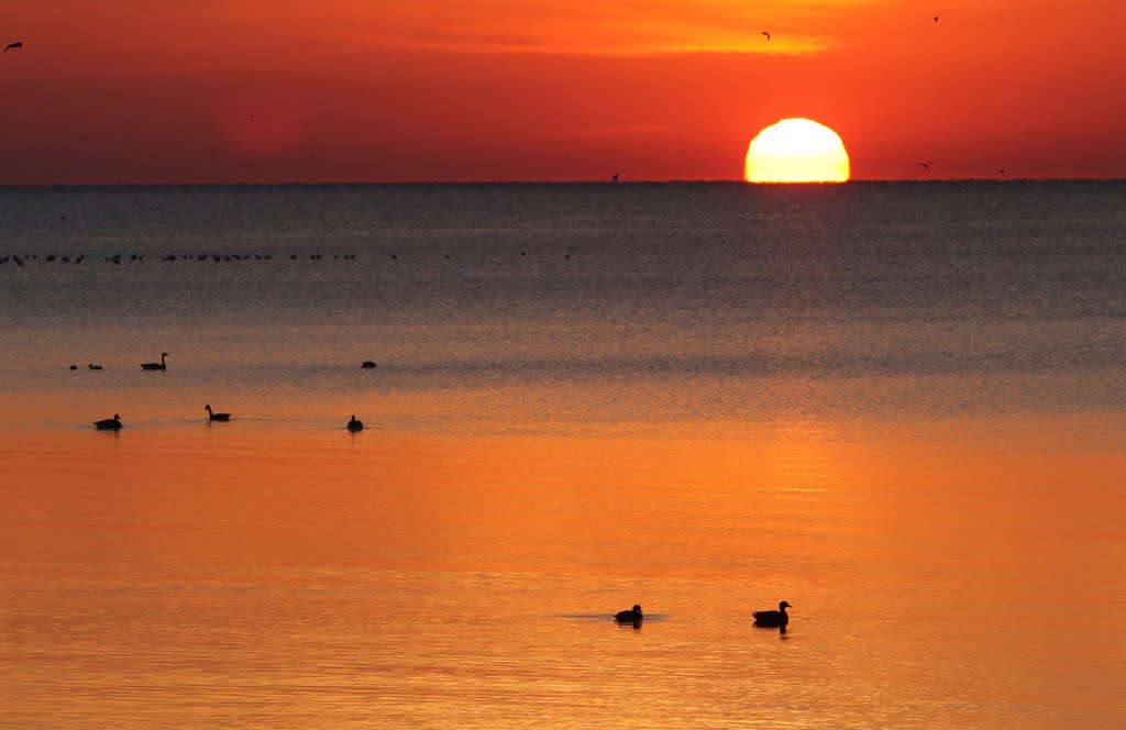 Sunrise Luna Pier MI