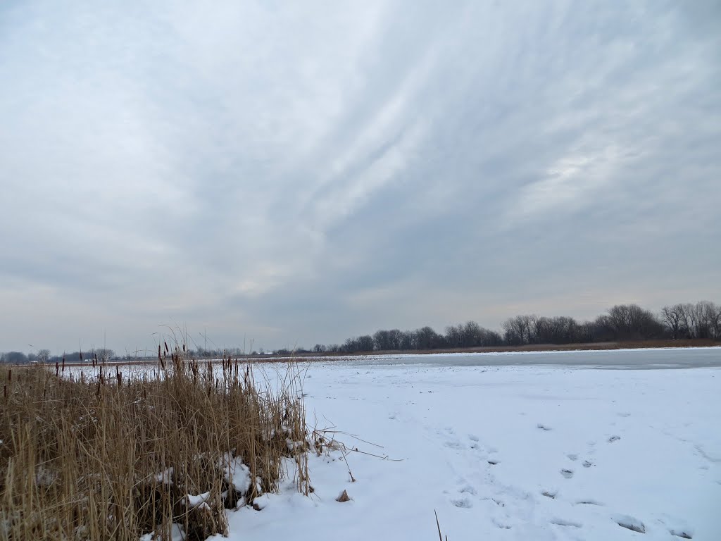 Frozen Allens Cove
