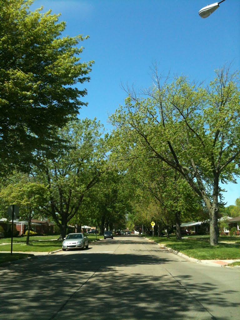 Madison Heights, United States