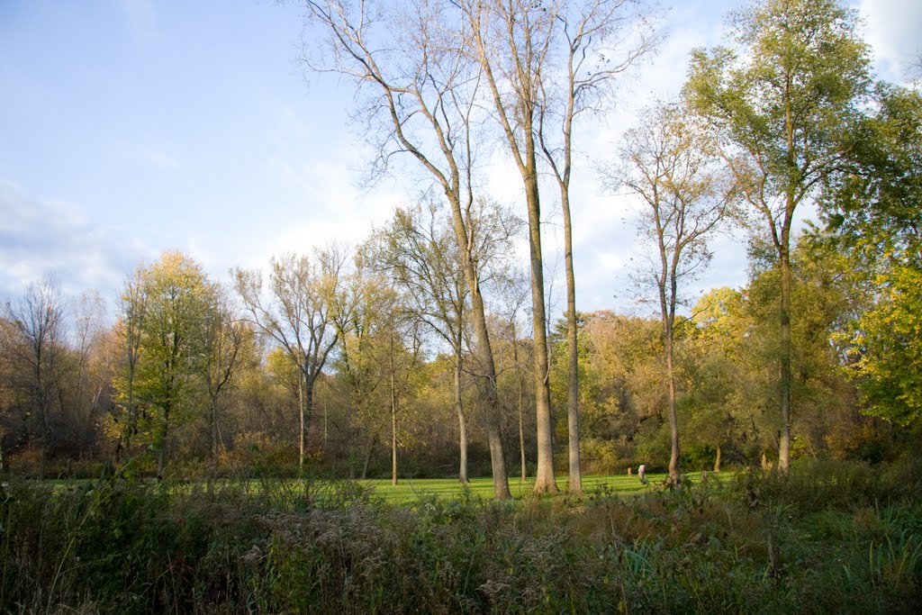 Clio Park October 2010