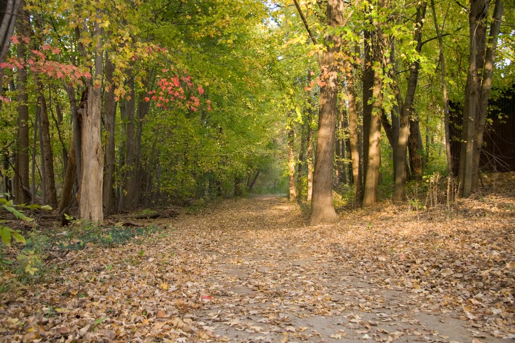 Clio Park October 2010