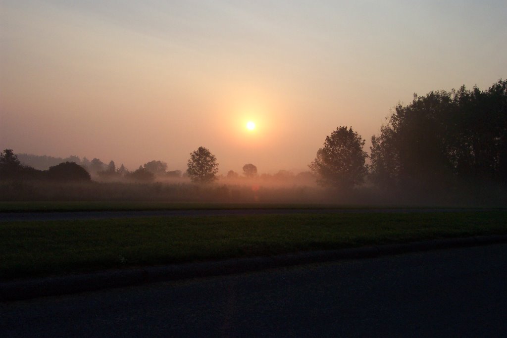 Morning fog