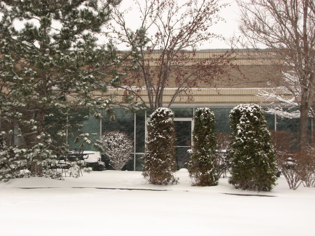 Dearborn Mi