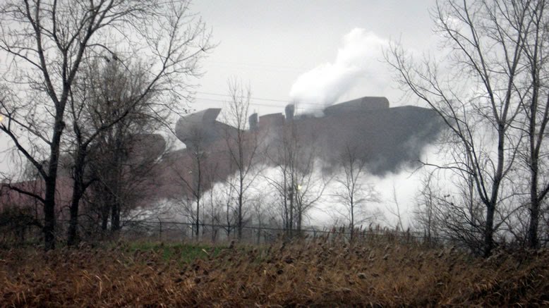 Rouge Plant enveloped in steam