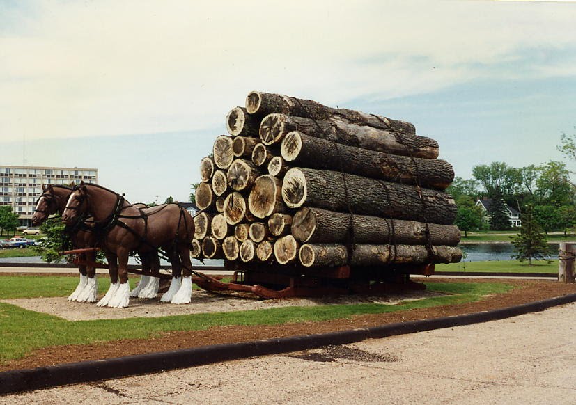 Logging Country Marinette WI