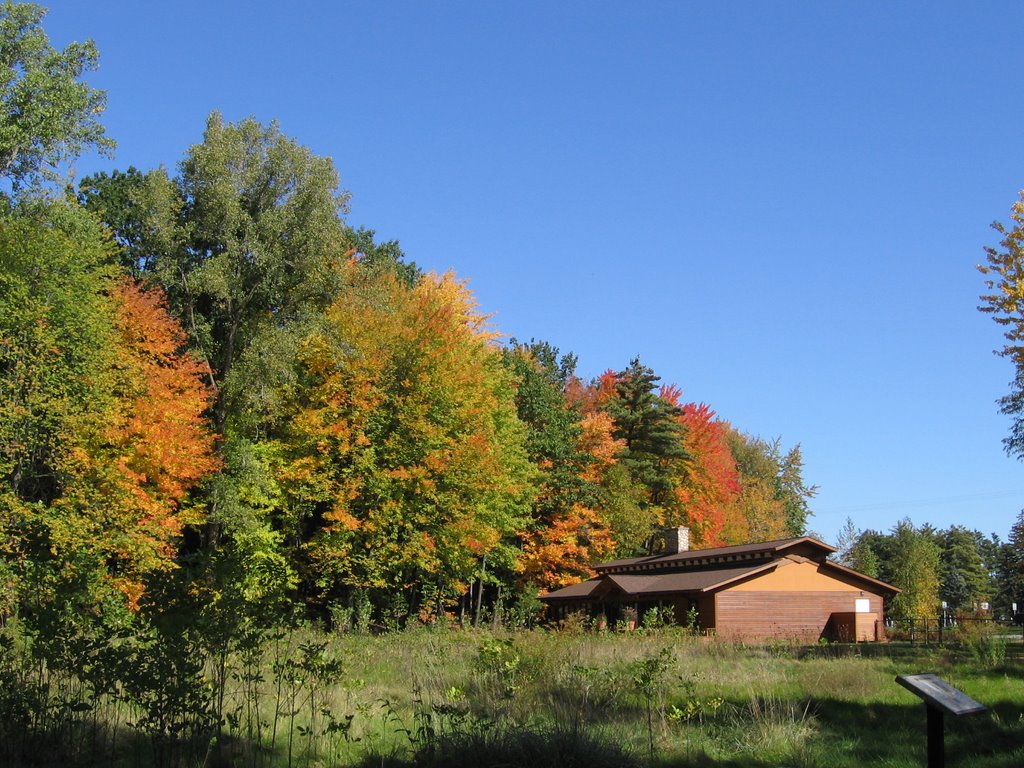 Whiting Forest