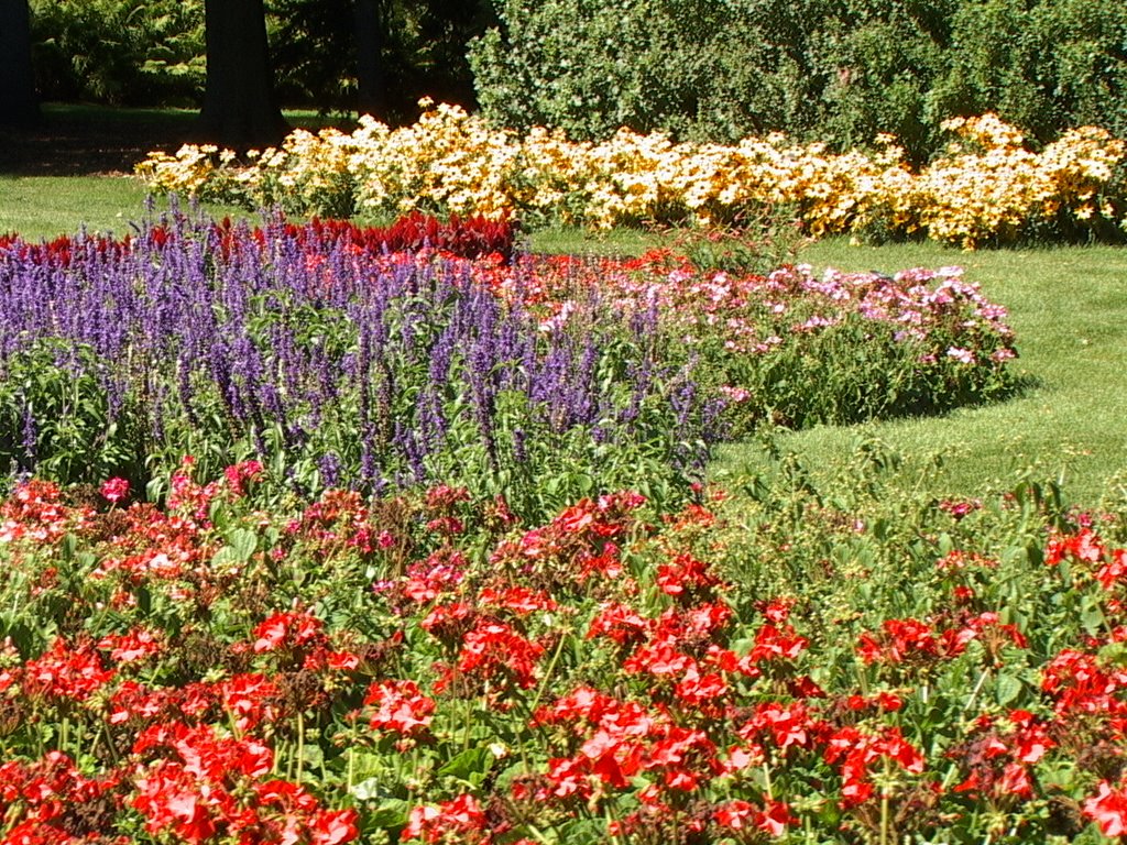 Dow Gardens, Midland MI