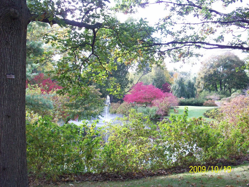 Dow Garden - Fall