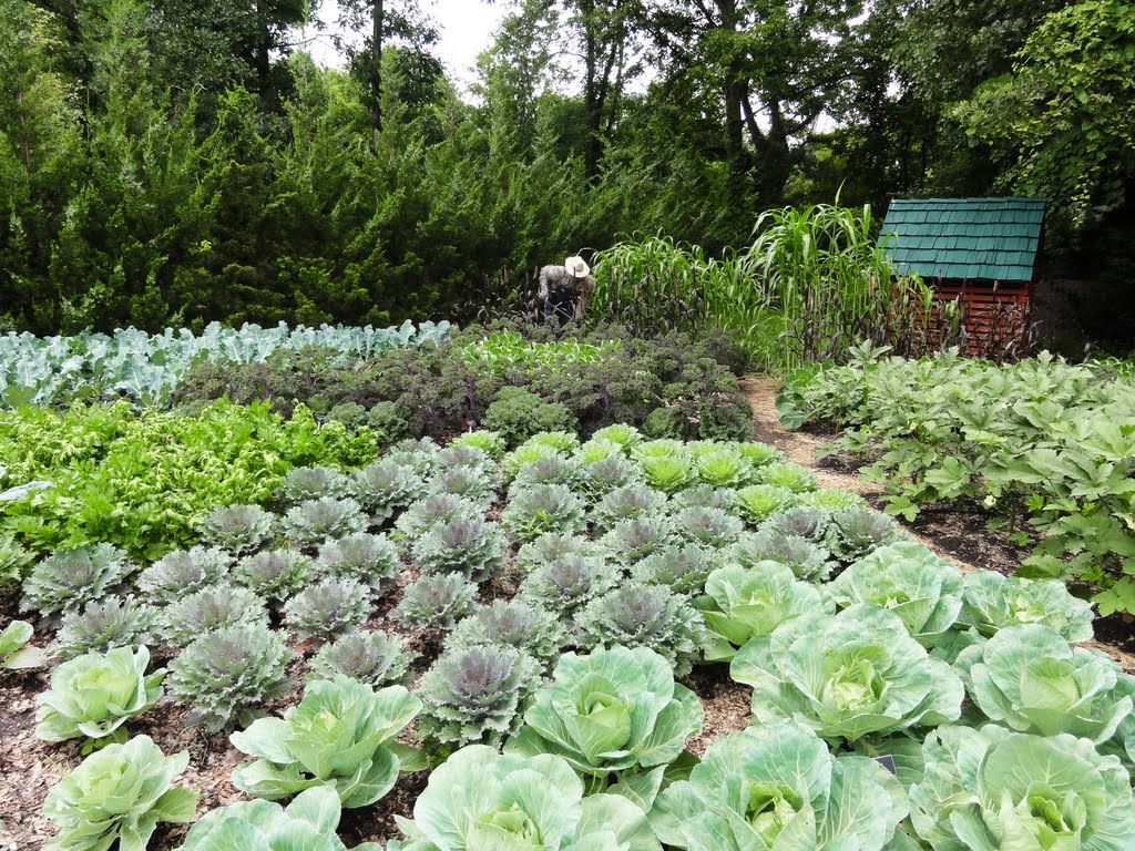 The Dow  Children’s Garden, Midland Michigan