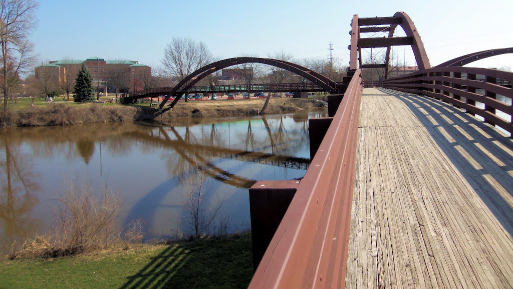 The Tridge