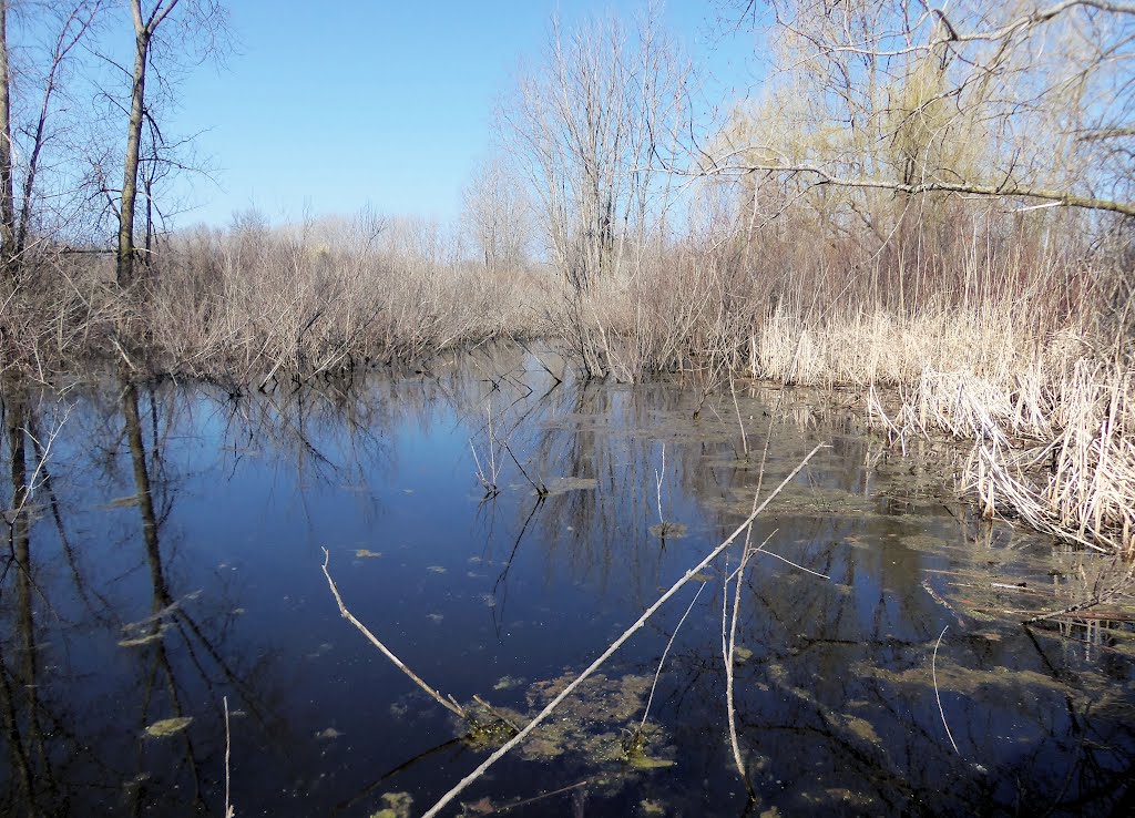 Chippewa Nature Trail