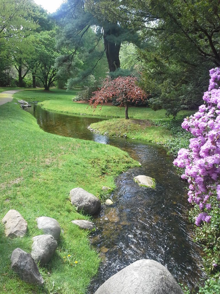 Dow Gardens Stream