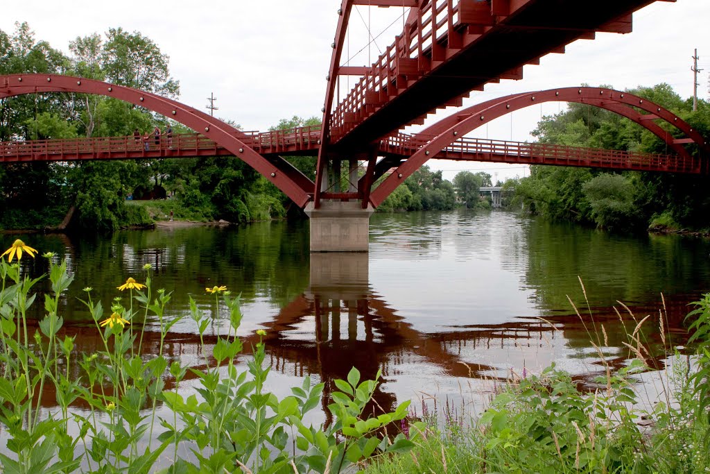 Tridge - Midland, MI