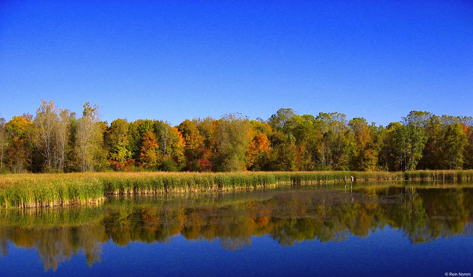 Fall Reflections