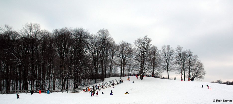 Sleding Hill