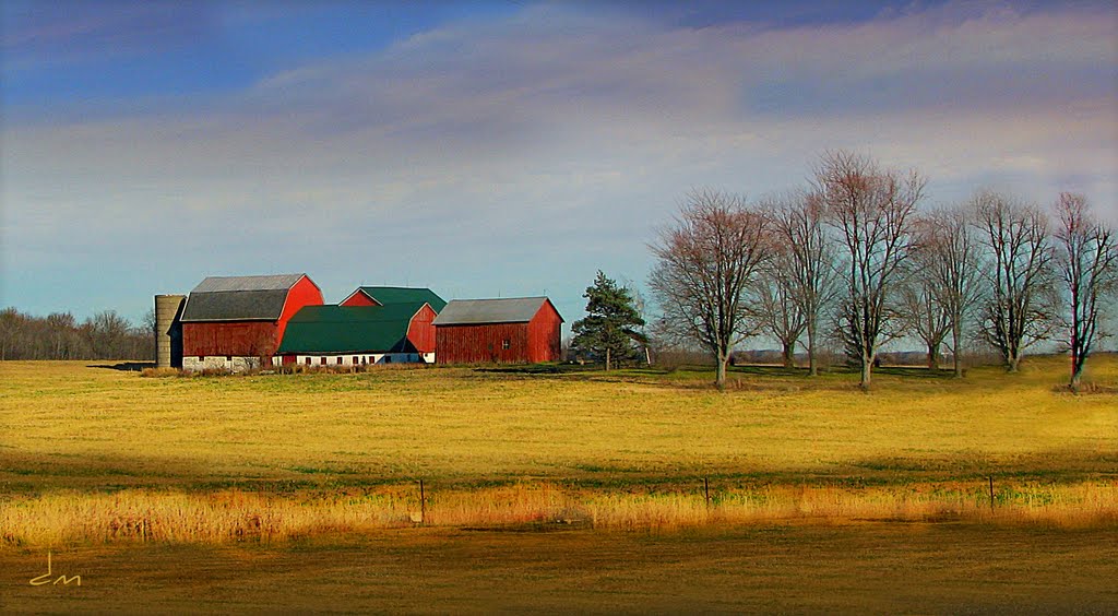 Michigan Farms