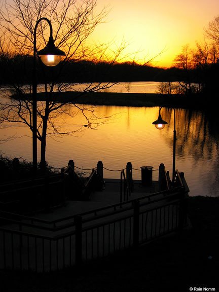 Twilight Lights