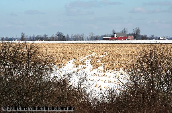 Distant red farm