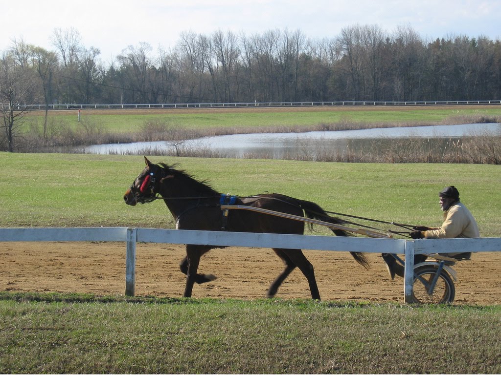 Harness Racing Training at McNabb Park
