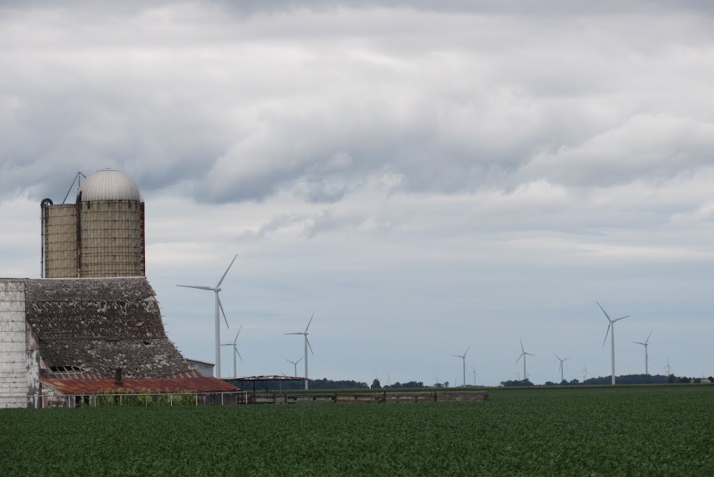 Old and new types of farms