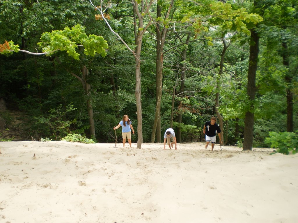 P J Hoffmaster State Park Dune