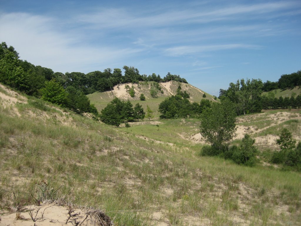 Mona Lake Dunes