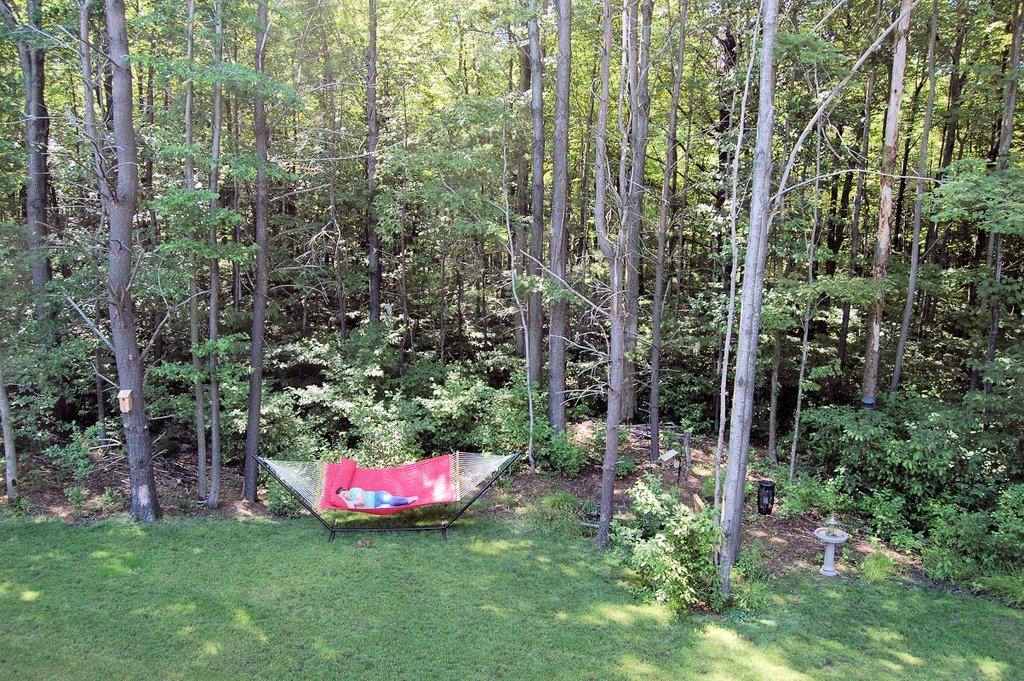 Trapped in the hammock
