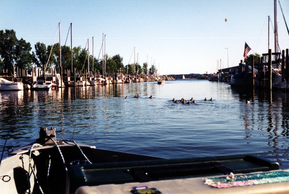Channel off Muskegon lake